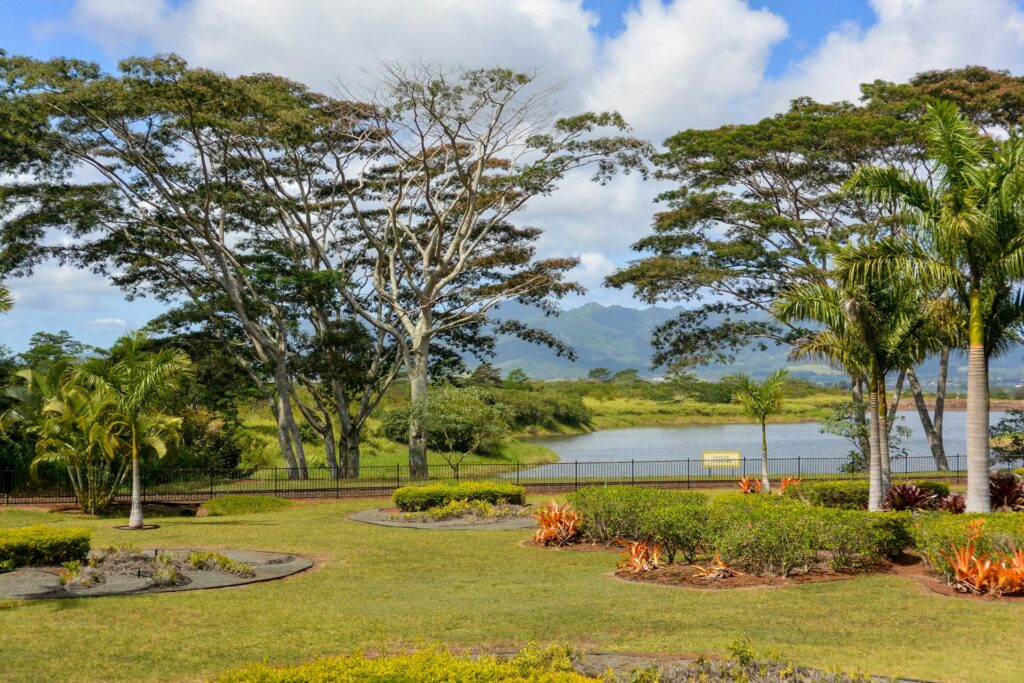 Stop by the Dole Plantation